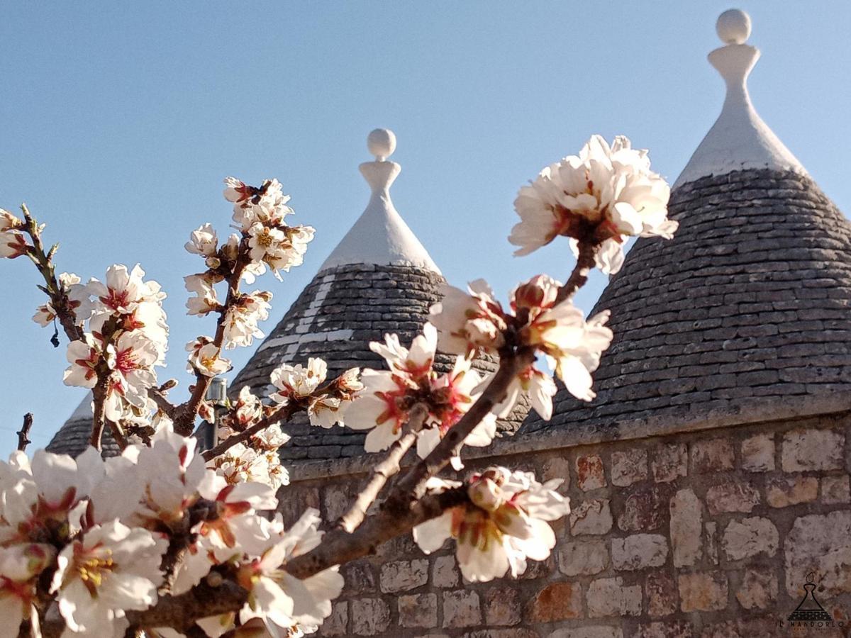 Il Mandorlo Villa Ostuni Bagian luar foto